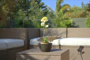 Cactus Flower - 1 Bedroom Beach House W/Private Desert Patio 100% Solar. Border With Santa Monica! Los Angeles Exterior photo